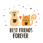 楽天家 の使い方や意味 例文や類義語を徹底解説 言葉の手帳 様々なジャンルの言葉や用語の意味や使い方 類義語や例文まで徹底解説します