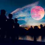 マーフィーの法則 の使い方や意味 例文や類義語を徹底解説 言葉の手帳 様々なジャンルの言葉や用語の意味や使い方 類義語や例文まで徹底解説します