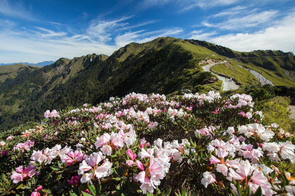 の 意味 高嶺 花 「高嶺の花」は結局どうなっていくのでしょうか？