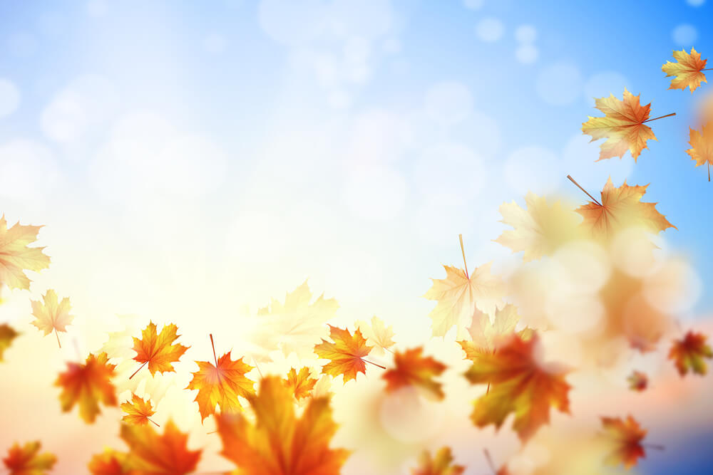 紅葉は長月のイメージ