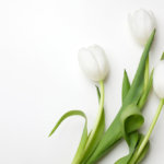 継続は力なり の使い方や意味 例文や類義語を徹底解説 言葉の手帳 様々なジャンルの言葉や用語の意味や使い方 類義語や例文まで徹底解説します