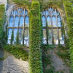 チキる の使い方や意味 例文や類義語を徹底解説 言葉の手帳 様々なジャンルの言葉や用語の意味や使い方 類義語や例文まで徹底解説します