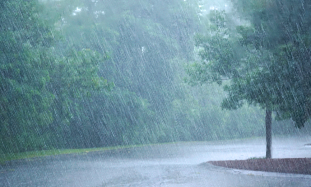 ゲリラ豪雨の画像