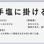 軍配が上がる の使い方や意味 例文や類義語を徹底解説 言葉の手帳 様々なジャンルの言葉や用語の意味や使い方 類義語や例文まで徹底解説します