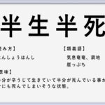 三十六計逃げるにしかず の使い方や意味 例文や類義語を徹底解説 言葉の手帳 様々なジャンルの言葉や用語の意味や使い方 類義語や例文まで徹底解説します