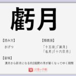 亀の甲より年の功 の使い方や意味 例文や類義語を徹底解説 言葉の手帳 様々なジャンルの言葉や用語の意味や使い方 類義語や例文まで徹底解説します